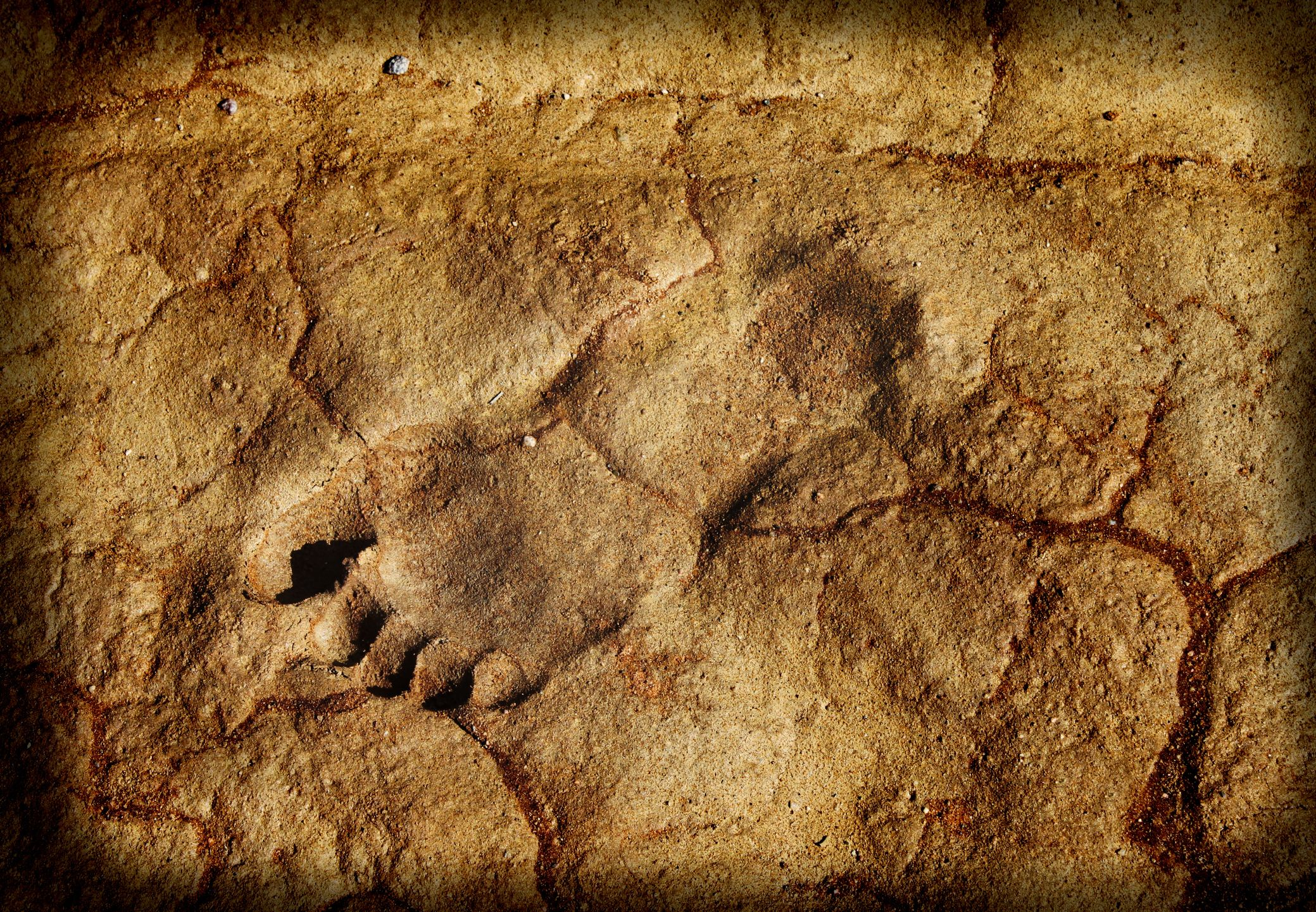 human footprints were discovered
